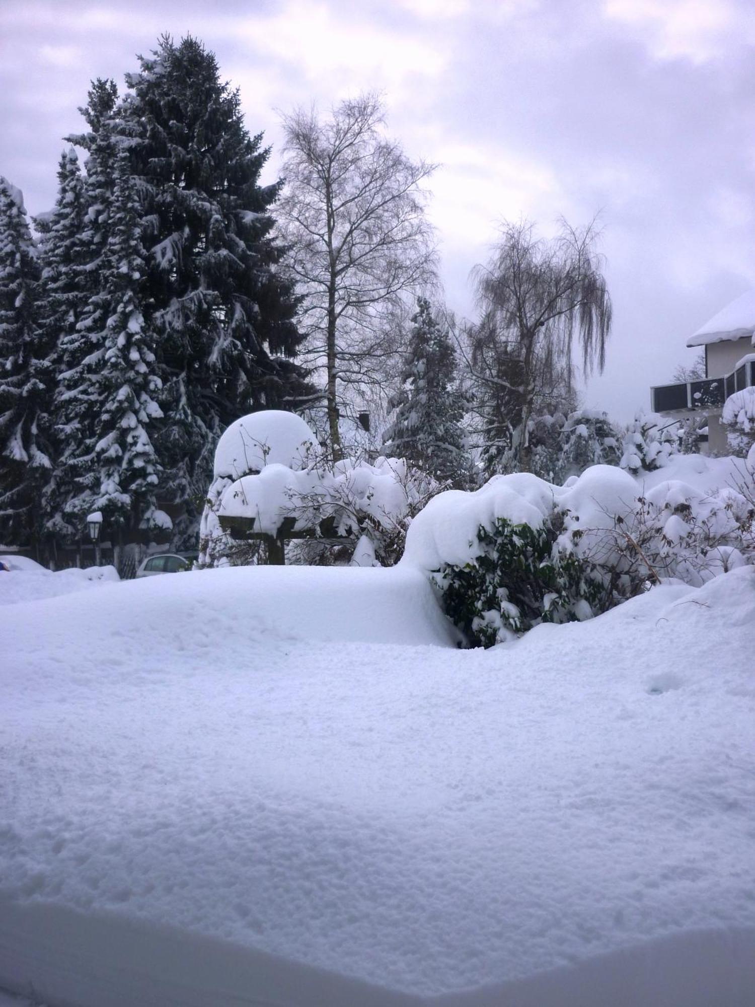 Hotel Forsthaus Winterberg Exterior photo